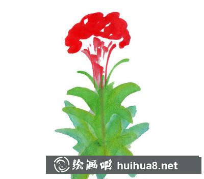 牡丹的畫法