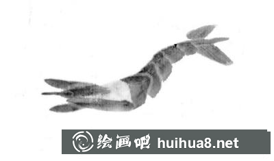 蝦的畫法