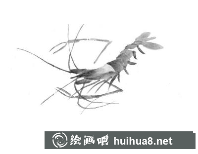 蝦的畫法