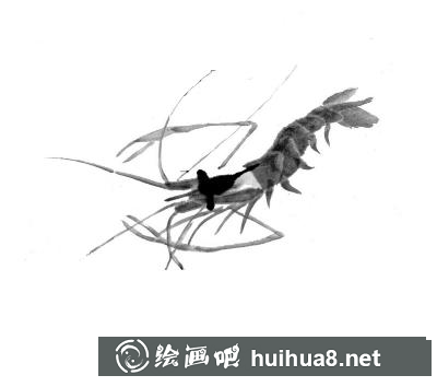 蝦的畫法