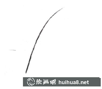 蘆葦?shù)漠嫹? style=