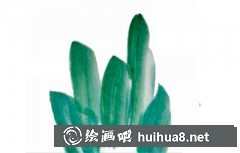 國畫入門：萬年青繪制技法