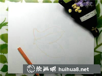 花瓣彩鉛