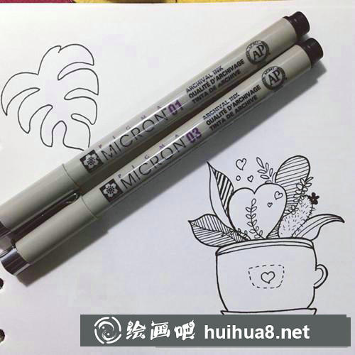 龜背竹和小綠植插畫