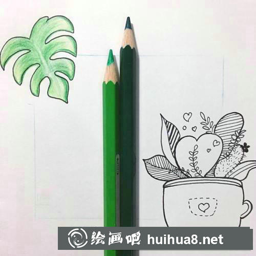 龜背竹和小綠植插畫