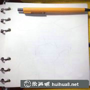 呆萌小象插畫教學(xué)指南