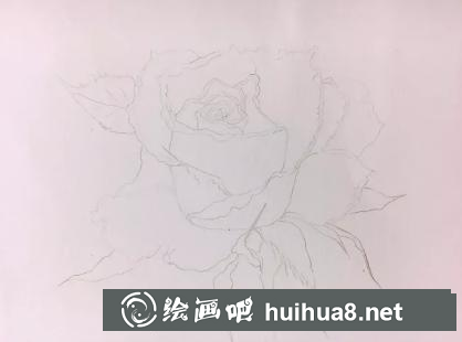 水彩畫玫瑰