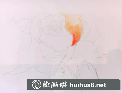 水彩畫玫瑰