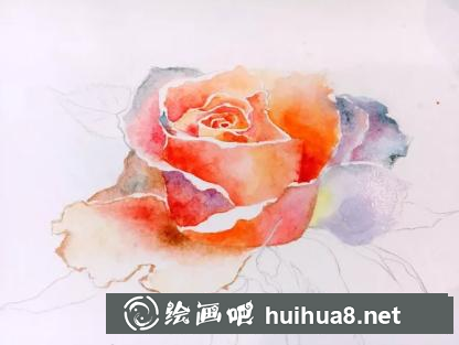水彩畫玫瑰