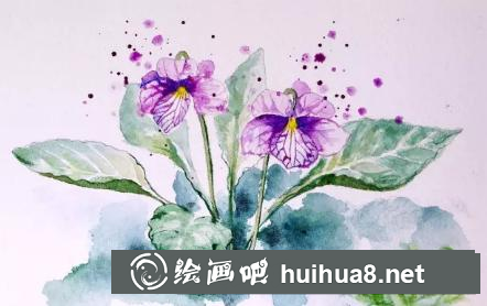 水彩畫早開堇菜
