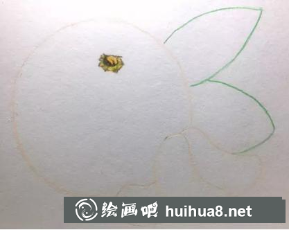 彩鉛畫橘子
