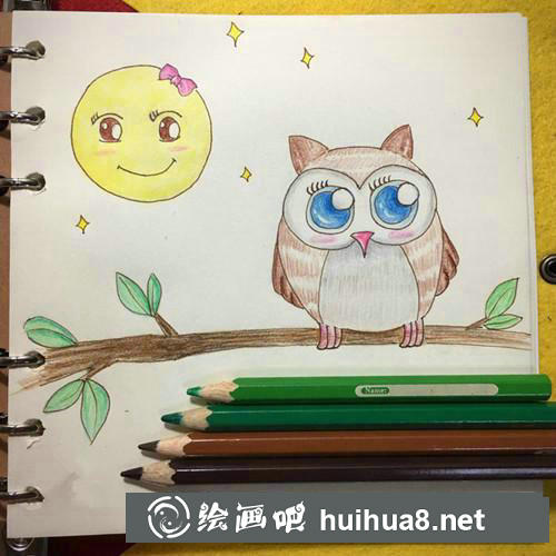 可愛貓頭鷹插畫