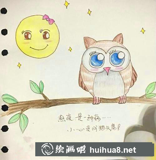 可愛貓頭鷹插畫