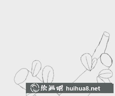 小鳥(niǎo)的家畫(huà)法