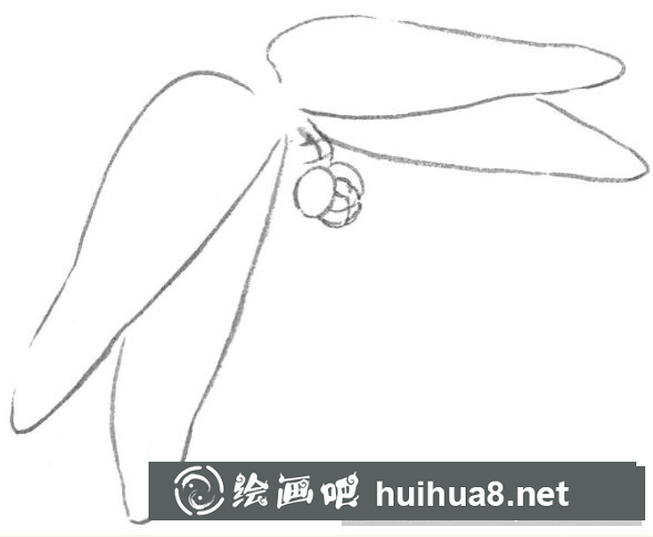 白描蜻蜓
