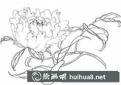 國畫入門白描基礎(chǔ)講解