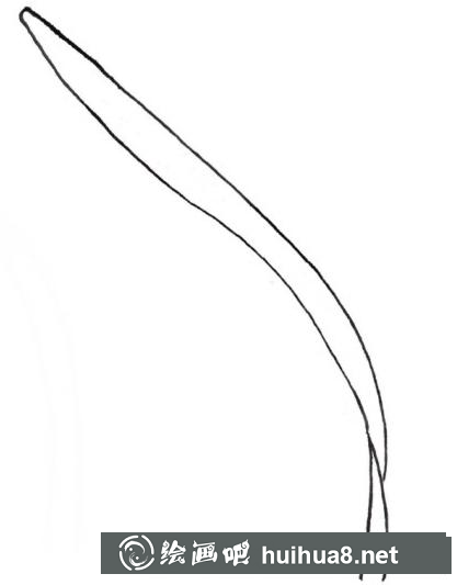 蘭花葉子