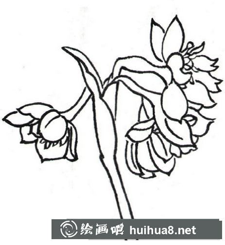 蘭花枝頭