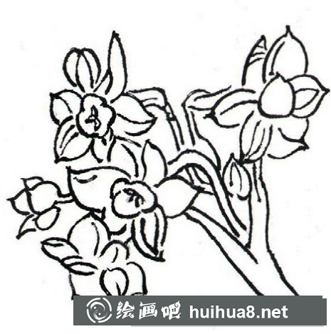 花朵畫法