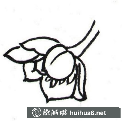 花朵畫法