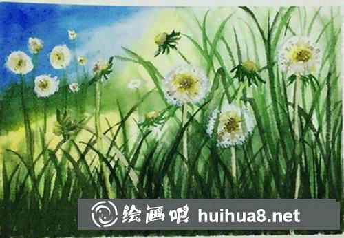 蒲公英水彩畫