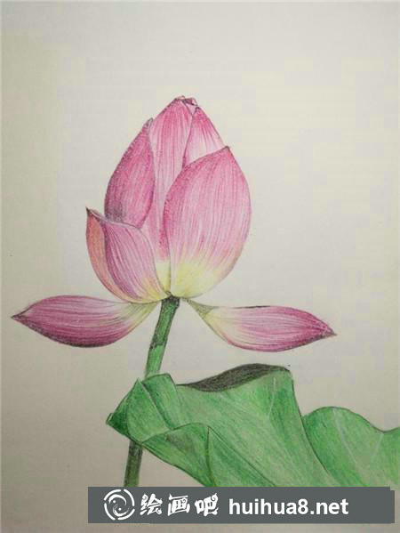 彩鉛畫(huà)教程 彩鉛畫(huà)教程