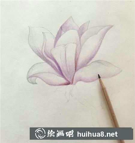 彩鉛畫教程