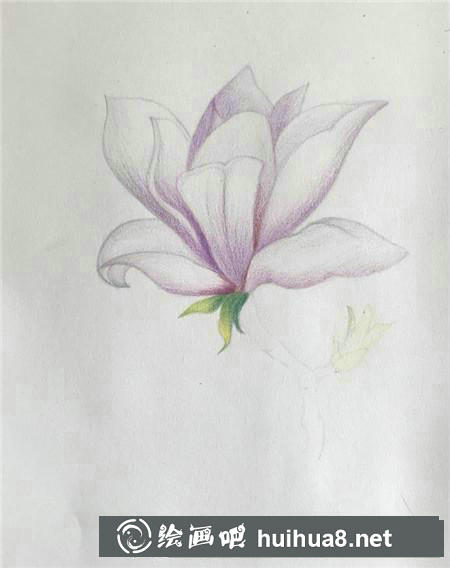 彩鉛畫教程