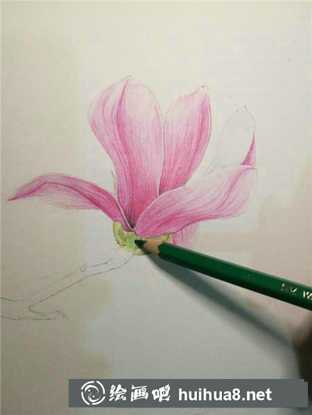 彩鉛畫教程