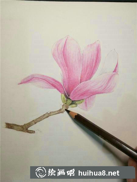 彩鉛畫教程