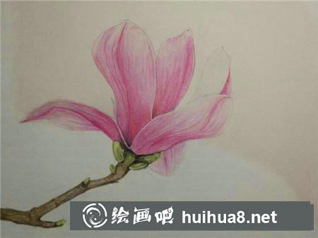 彩鉛畫教程