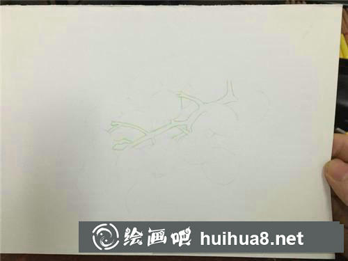 紅提彩鉛畫(huà) 紅提彩鉛畫(huà)