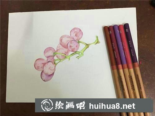 紅提彩鉛畫(huà) 紅提彩鉛畫(huà)