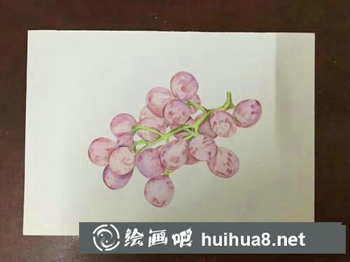 紅提彩鉛畫(huà) 紅提彩鉛畫(huà)