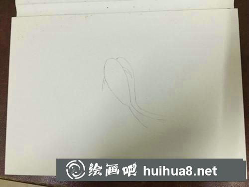 轉(zhuǎn)運(yùn)錦鯉水彩畫