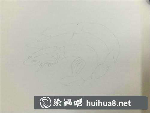 油燜大蝦彩鉛畫