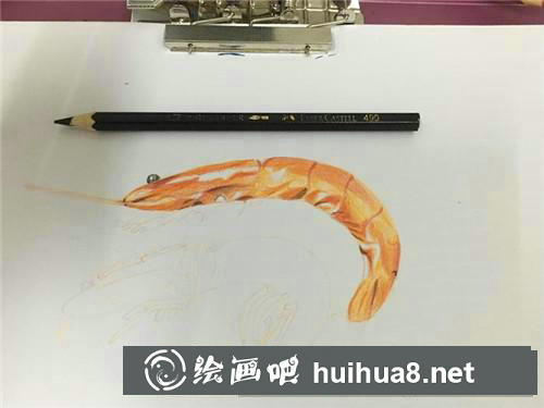 油燜大蝦彩鉛畫