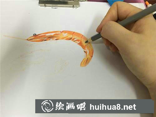 油燜大蝦彩鉛畫