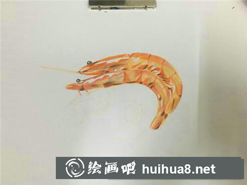 油燜大蝦彩鉛畫