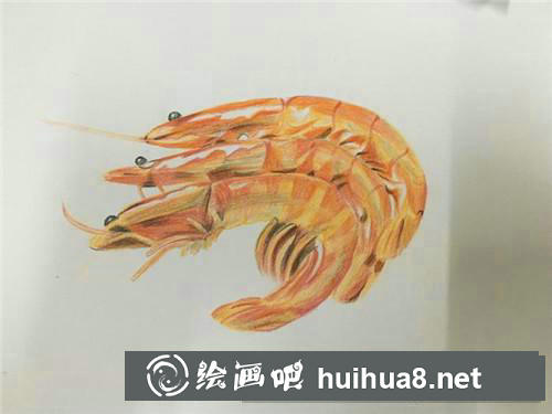 油燜大蝦彩鉛畫