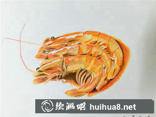油燜大蝦彩鉛畫