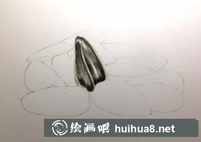 彩鉛畫葵瓜子 彩鉛畫葵瓜子