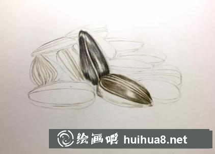 彩鉛畫葵瓜子 彩鉛畫葵瓜子
