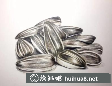 彩鉛畫葵瓜子 彩鉛畫葵瓜子