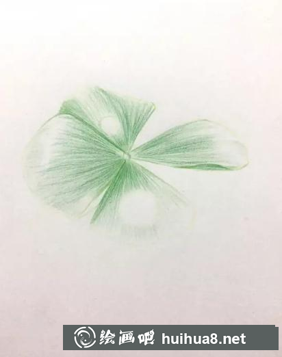 彩鉛畫幸運(yùn)草