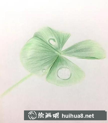 彩鉛畫幸運(yùn)草