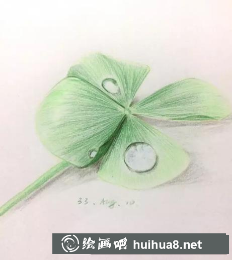 彩鉛畫幸運(yùn)草