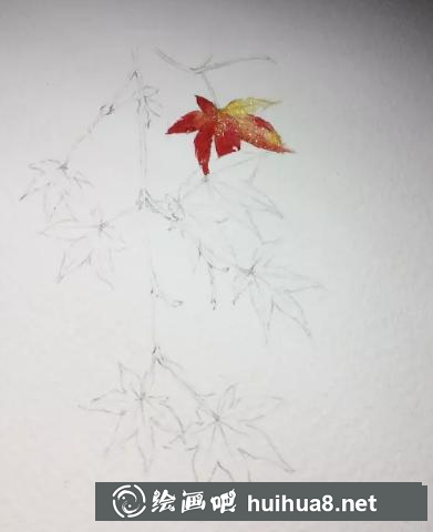 水彩楓葉畫