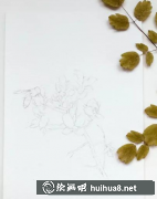 水彩油菜花畫法教程詳解