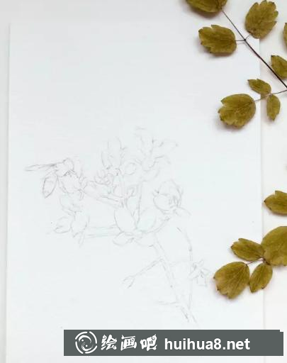 水彩畫油菜花